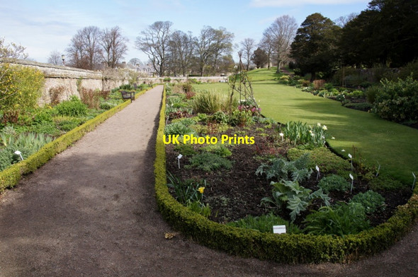 Photo 6"x4" Garden at Dirleton Castle Dirleton\/NT5183 c2012
