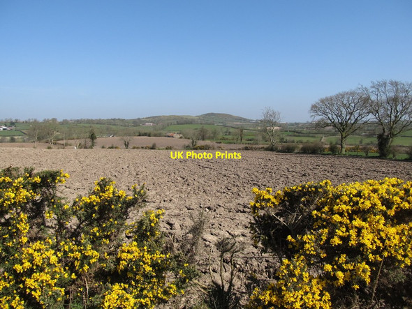 Photo 6"x4" Arable land north of Imdale Cross Milltown\/J1436 c2012