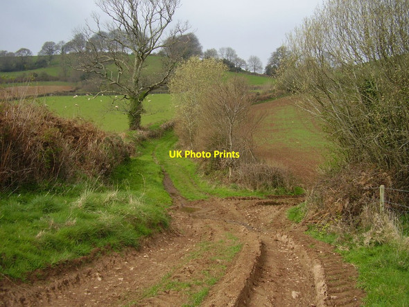 Photo 6"x4" A small ford at Lincombe Cotford c2012