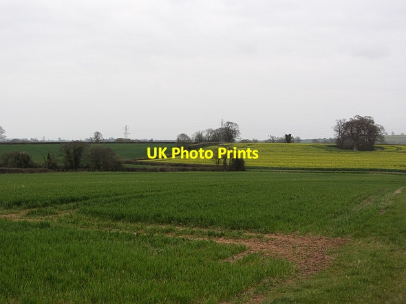 Photo 6"x4" Arable land, Durleigh Bare Ash c2012