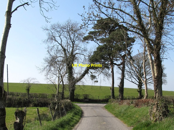Photo 6"x4" Emdale Road at its junction with Bronte Road Milltown\/J1436 c2012