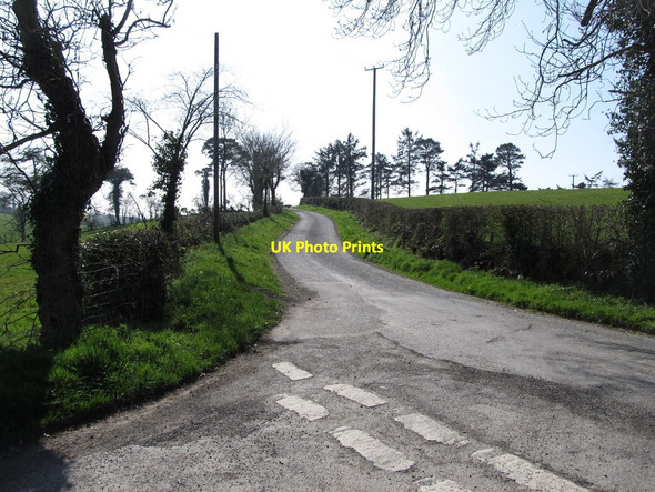 Photo 6"x4" View south along Bronte Road Milltown\/J1436 c2012