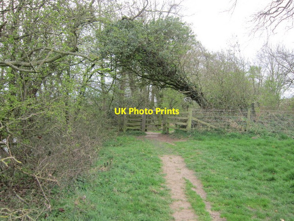 Photo 6"x4" Walking towards Carlisle Carlisle c2012