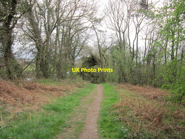 Photo 6"x4" Following the River Eden to Carlisle Carlisle c2012 P1