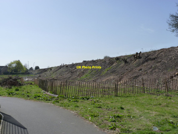 Photo 6"x4" Cleared embankment, Wilford Lane (1) West Bridgford c2012