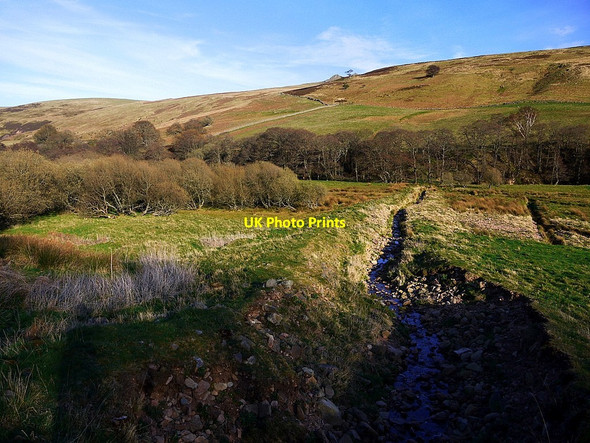 Photo 6"x4" Altered course of New Burn, Langleeford Harthope Burn\/NT9522 c2012