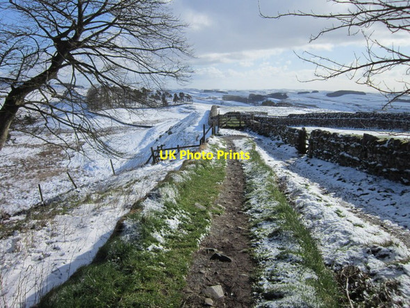Photo 6"x4" Walking the Wall at Housesteads Crags Thorngrafton c2012