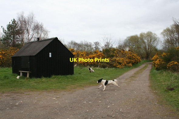 Photo 6"x4" Redundant salmon bothy on the banks of the Spey Bogmoor c2012