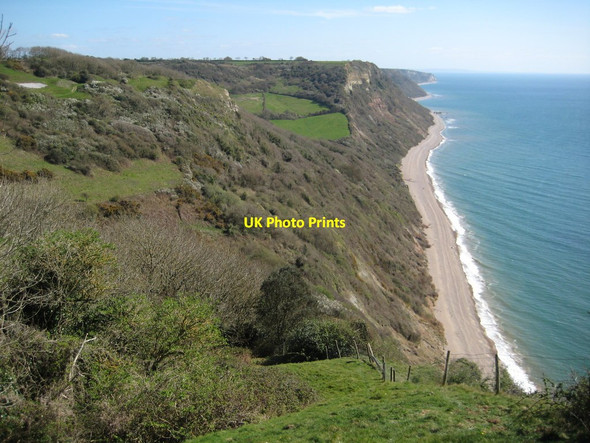 Photo 6"x4" Devon coast viewed from Higher Dunscombe Cliff Salcombe Regis c2012