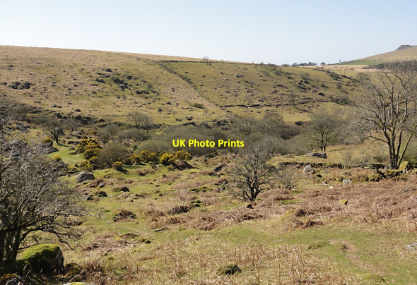 Photo 6"x4" The Valley of Narrator Brook Sheepstor c2012