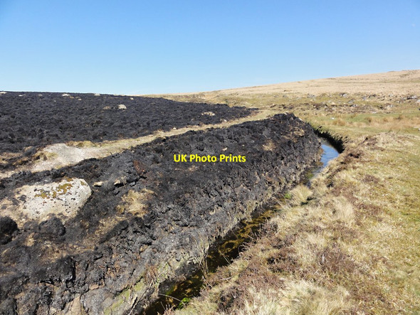 Photo 6"x4" Recent Burning Princetown\/SX5873 c2012