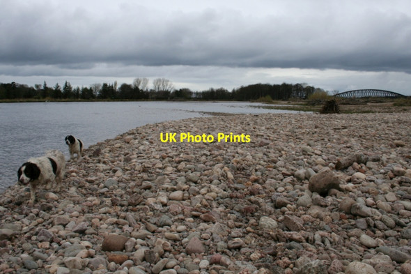 Photo 6"x4" Old man Spey Bogmoor c2012