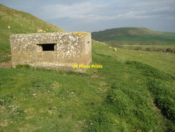 Photo 6"x4" Pill box on Chapel Hill Abbotsbury\/SY5785 c2012