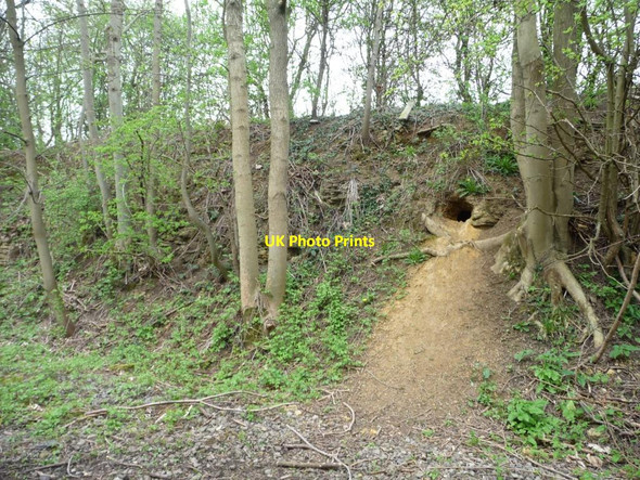 Photo 6"x4" Foxhole on the Harland Way Wetherby c2012