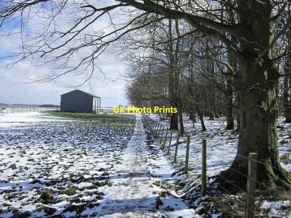 Photo 6"x4" The path to the rear of Carraw Farm Uppertown\/NY8672 c2012