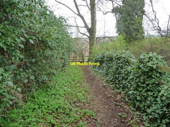 Photo 6"x4" Footpath to Collingham Collingham\/SE3845 c2012