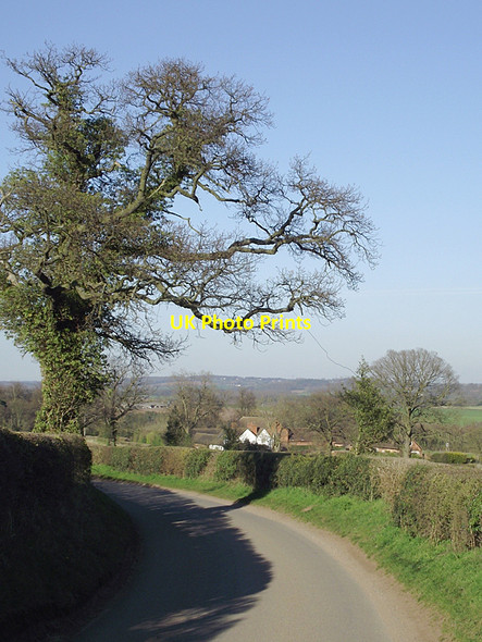 Photo 6"x4" Lane towards Dallicott, Shropshire Dallicott c2012