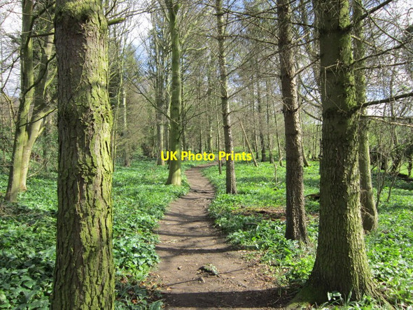 Photo 6"x4" Walking east towards Milecastle 26 Chollerford c2012