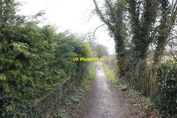 Photo 6"x4" Along the Test Way Horsebridge\/SU3430 c2012