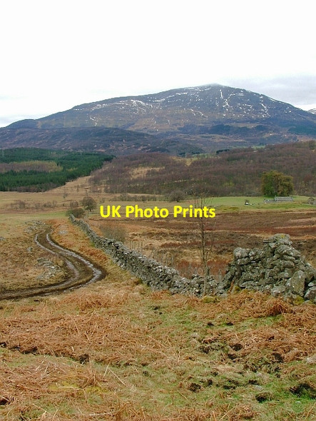 Photo 6"x4" Wall near Mullinavadie Dunalastair c2012