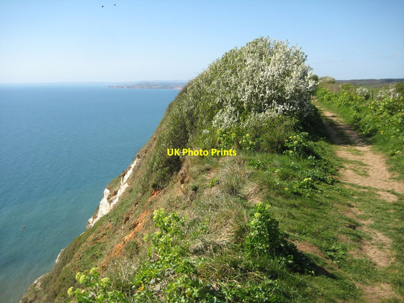 Photo 6"x4" On Weston Cliff Weston\/SY1688 c2012