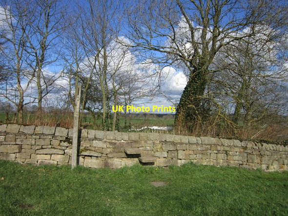 Photo 6"x4" Walking east towards Wall Houses Halton Shields c2012