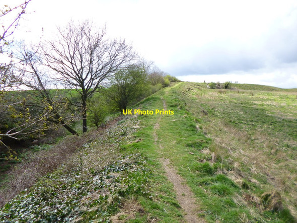 Photo 6"x4" Spetisbury Rings, rampart Spetisbury c2012
