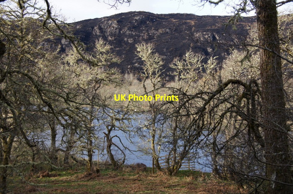 Photo 6"x4" River Beauly west of Eskadale Eskadale c2012