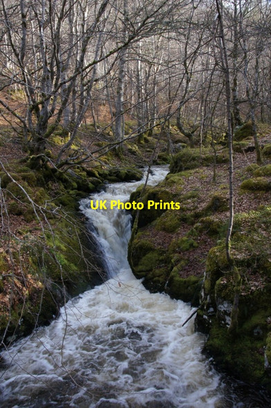 Photo 6"x4" Eskadale Burn at Eskadale Eskadale c2012