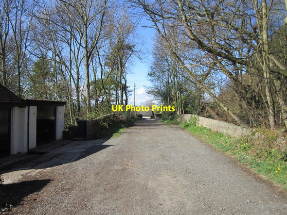 Photo 6"x4" The path at West Acres Houghton\/NZ1266 c2012