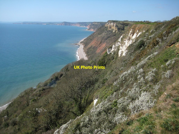 Photo 6"x4" Coast viewed from Berry Camp Branscombe c2012