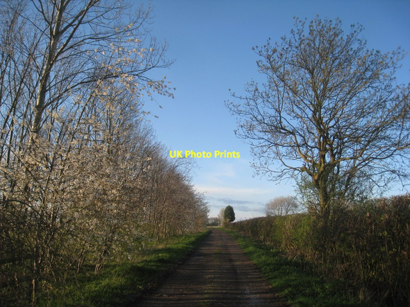 Photo 6"x4" Farm track at Staunton in the Vale Staunton in the Vale c2012