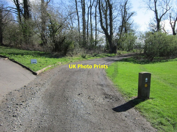 Photo 6"x4" Heading for the River Tyne Ryton\/NZ1564 c2012