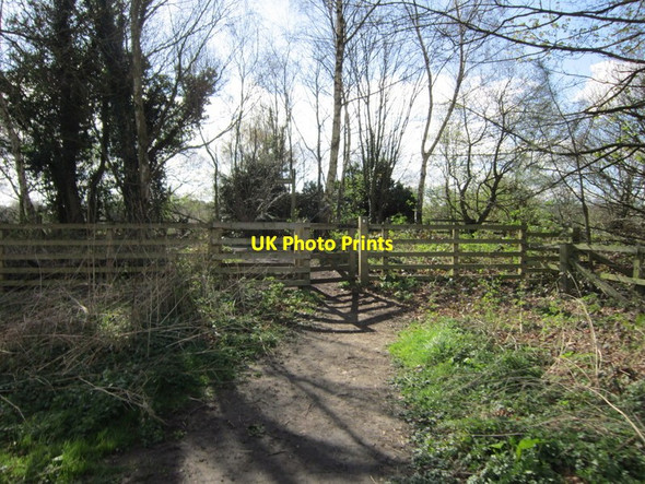 Photo 6"x4" The path crosses over the Wylam Waggonway Ryton\/NZ1564 c2012