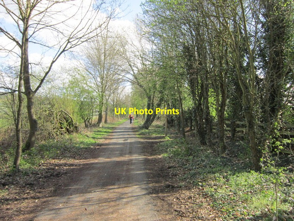 Photo 6"x4" Looking east along the Wylam Waggonway Ryton\/NZ1564 c2012