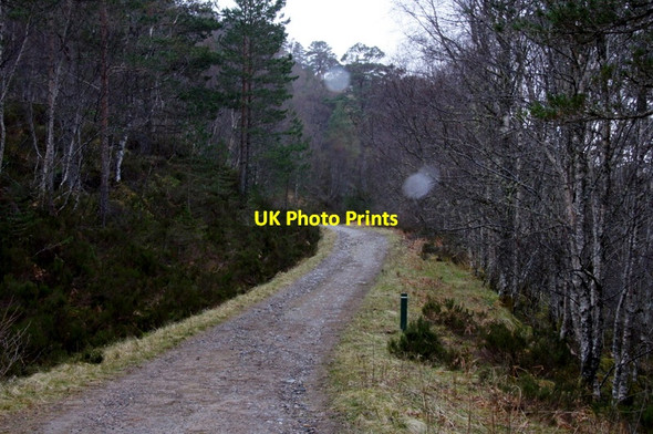 Photo 6"x4" Track to the viewpoint above Dog Falls carpark, Glen Affric Tomich\/NH3027 c2012