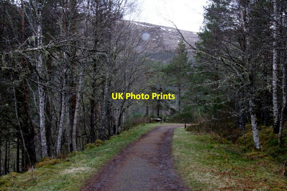 Photo 6"x4" Track above the Dog Falls carpark, Glen Affric Tomich\/NH3027 c2012