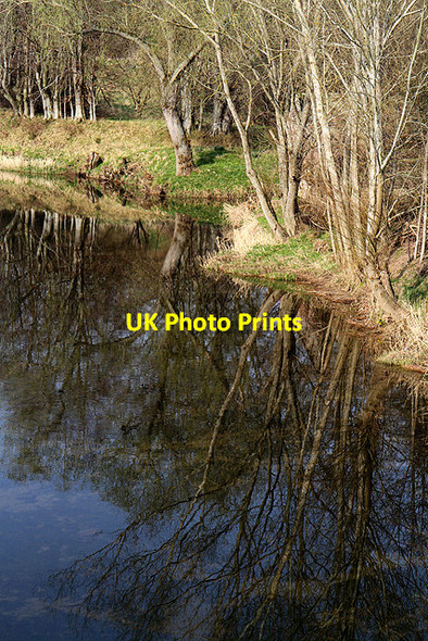 Photo 6"x4" The River Teviot at Kalemouth Eckford c2012