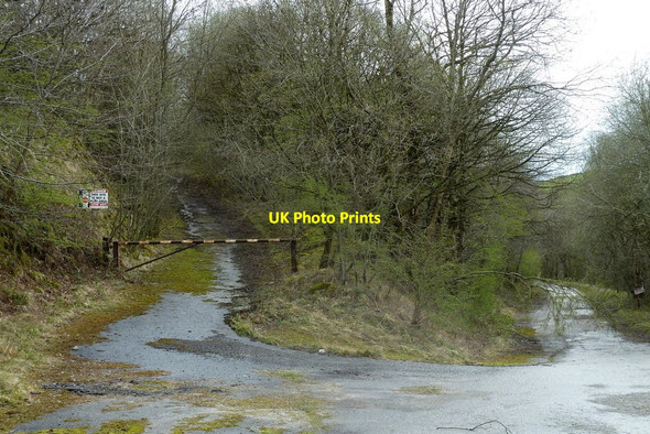 Photo 6"x4" Old quarry roads in woodland, former Hopton Quarry Wirksworth c2012