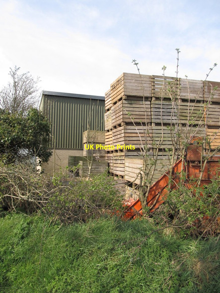 Photo 6"x4" Tayto potato crates Milltown\/J1436 c2012