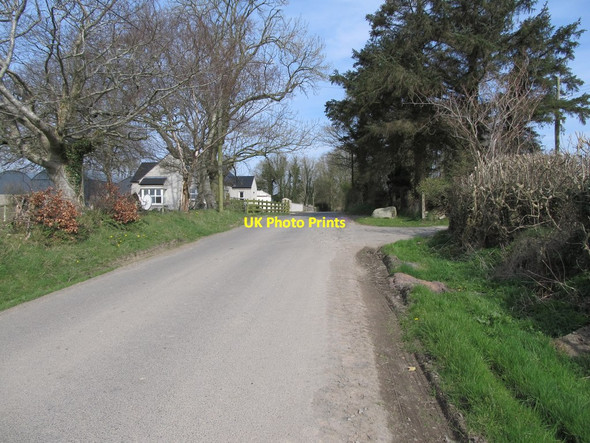 Photo 6"x4" View north along the southern end of Bronte Road Milltown\/J1436 c2012