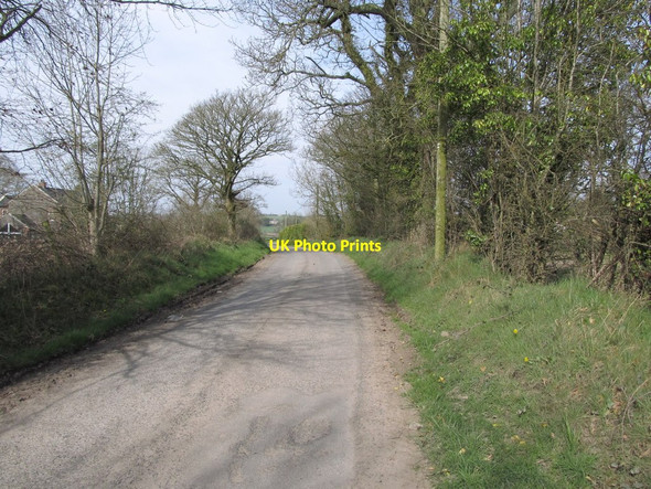 Photo 6"x4" The winding Bronte Road Milltown\/J1436 c2012