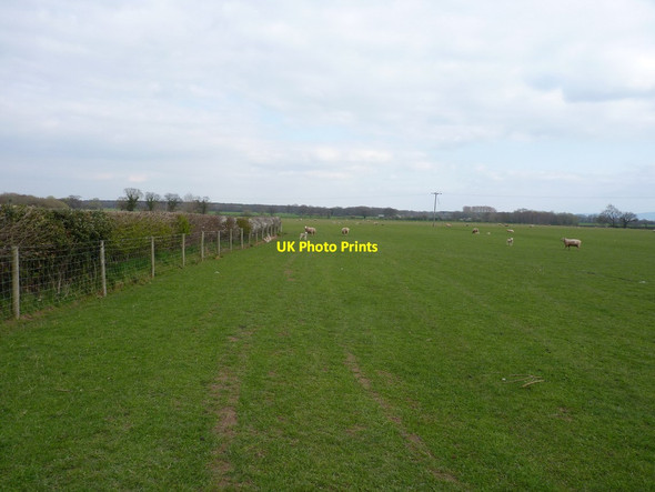 Photo 6"x4" Footpath heading out of Hadnall Hadnall c2012