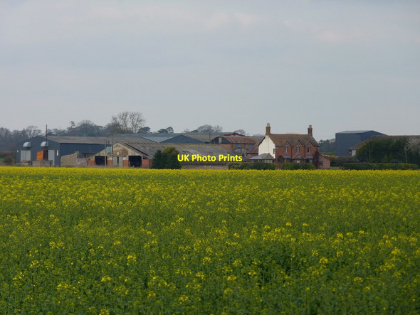 Photo 6"x4" New House farm from the southwest Hadnall c2012