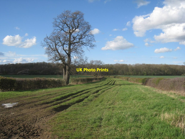 Photo 6"x4" Sewstern Lane (4) Stenwith c2012