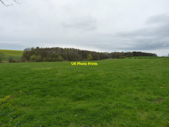 Photo 6"x4" North towards Boscobel Dingle Renshaw Wood c2012