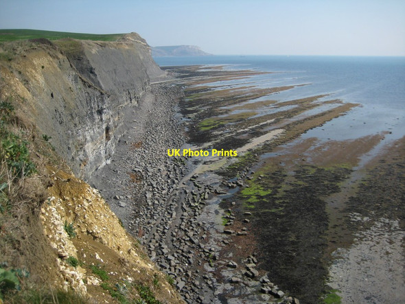 Photo 6"x4" View east from Clavell's Hard Kimmeridge c2012