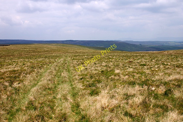 Photo 6"x4" Burn Fell Wood House c2008