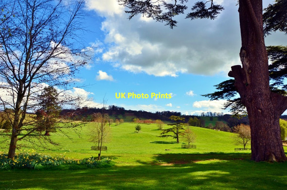 Photo 6"x4" Sherborne Castle Grounds Sherborne\/ST6316 c2012