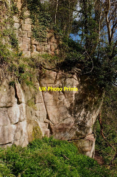 Photo 6"x4" Rosslyn Castle walls and sandstone outcrop Rosewell\/NT2862 c2012